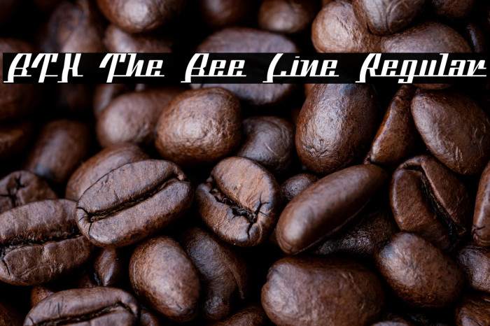 BTX The Bee Line Regular Example 1