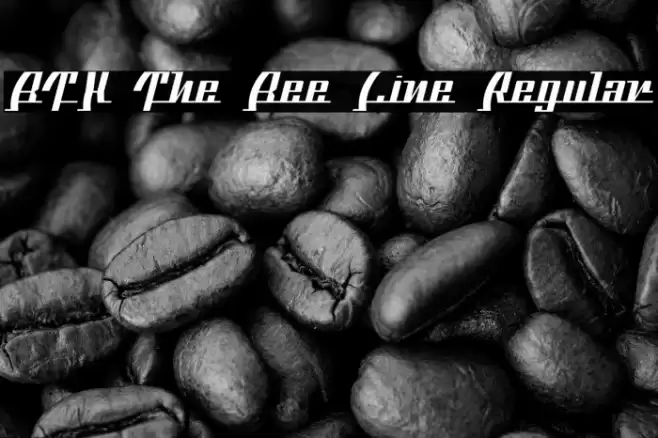 BTX The Bee Line Regular Font examples