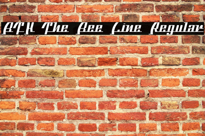 BTX The Bee Line Regular Example 2