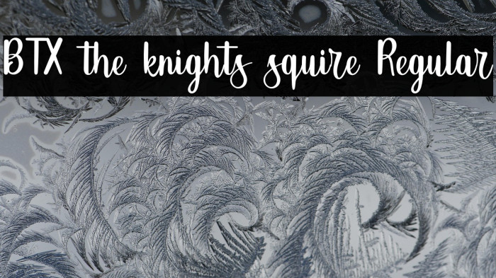 BTX-the-knights-squire Regular Example 2