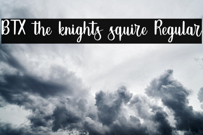 BTX-the-knights-squire Regular Example 3