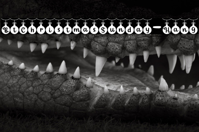 BtChristmasSunday-Hang Fonte examples