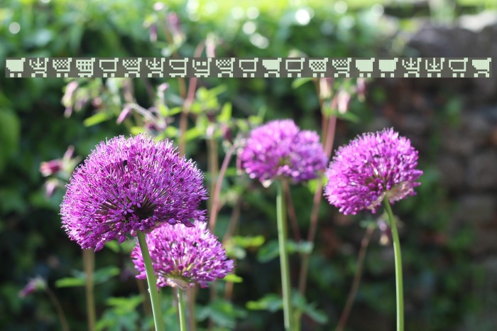 btd Cart-O-Grapher [bitmap] Example 1