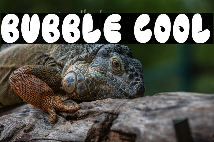 BUBBLE COOL Example 1