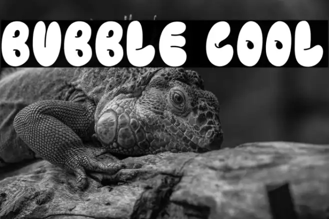 BUBBLE COOL Example 1