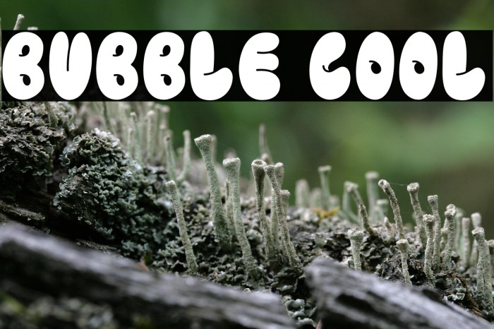 BUBBLE COOL Example 3