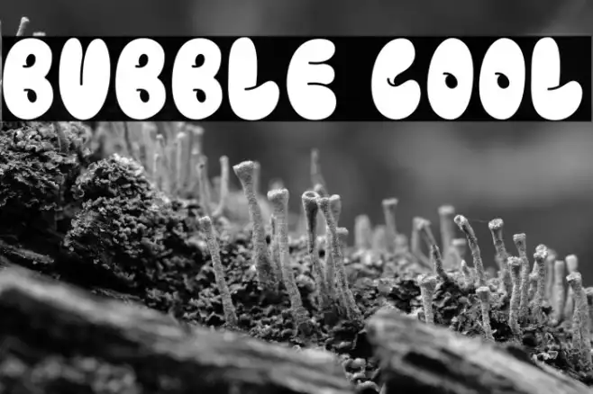 BUBBLE COOL Example 3