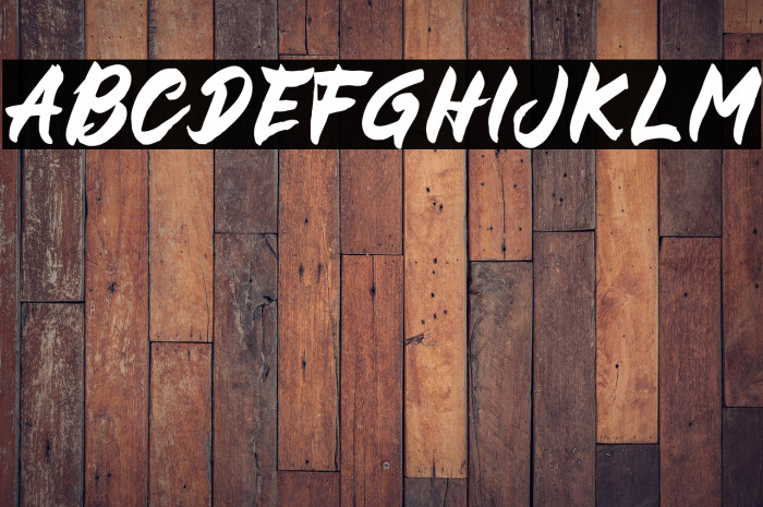 BUCKY Sans Example 1