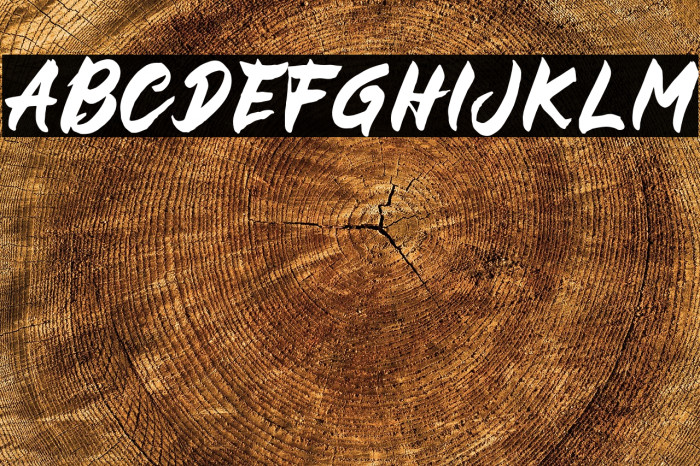 BUCKY Sans Example 2