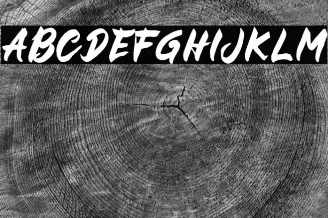 BUCKY Sans Font examples