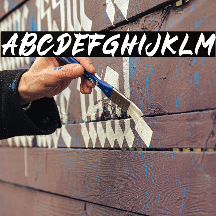 BUCKY Sans Example 3