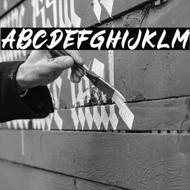 BUCKY Sans Font examples