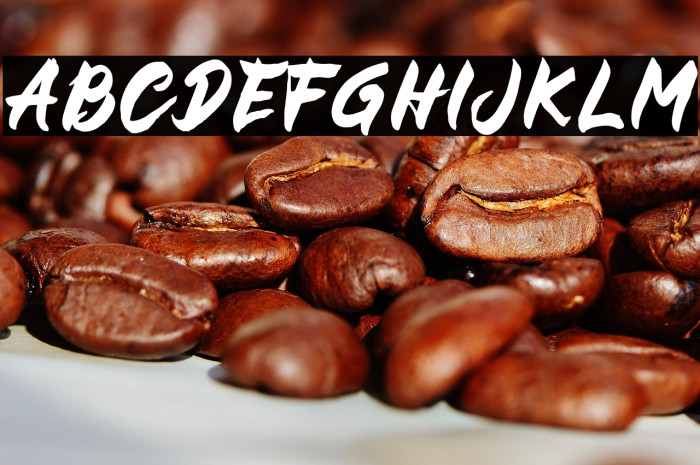 BUCKY Sans Example 2