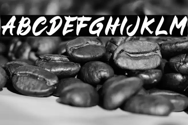 BUCKY Sans Font examples