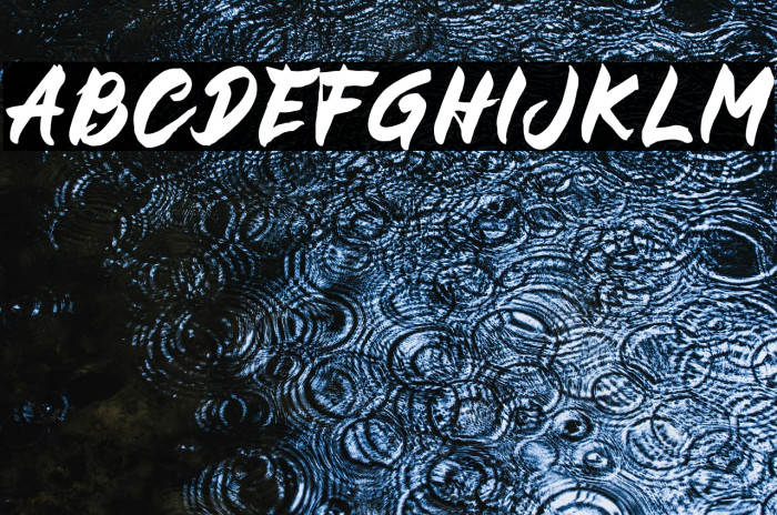 BUCKY Sans Example 3