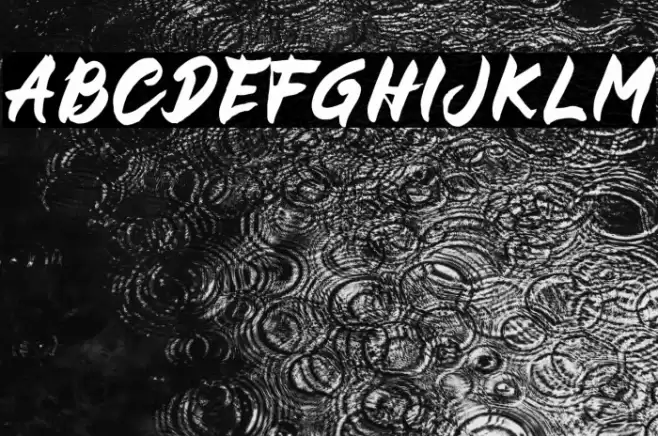 BUCKY Sans Font examples