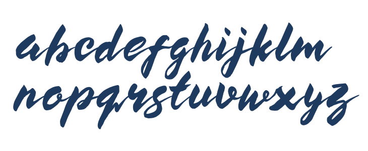 BUCKY Sans Lowercase