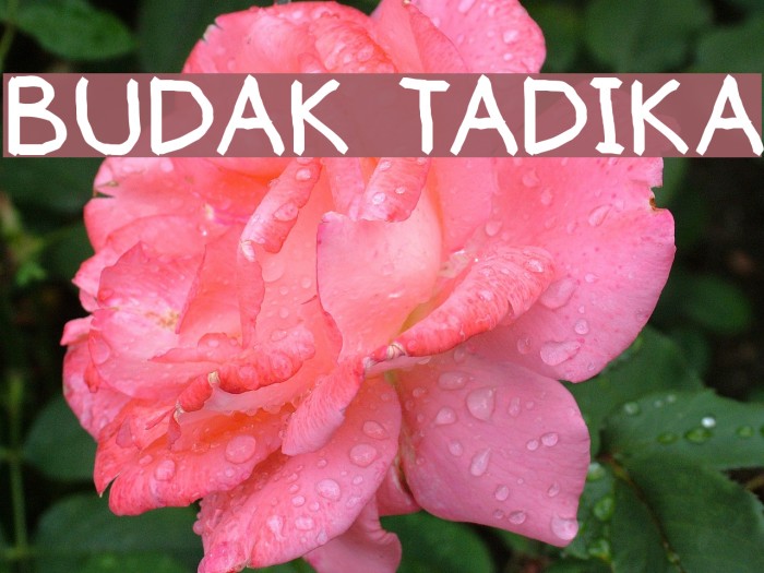 BUDAK TADIKA Example 1