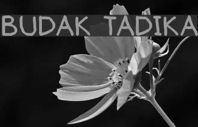 BUDAK TADIKA Font examples