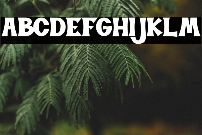 BUDDY HOLLY Example 3