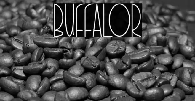 BUFFALOR Font examples