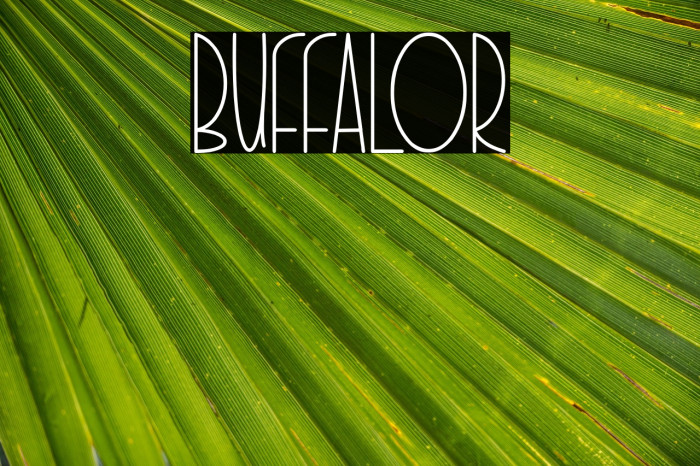 BUFFALOR Example 2