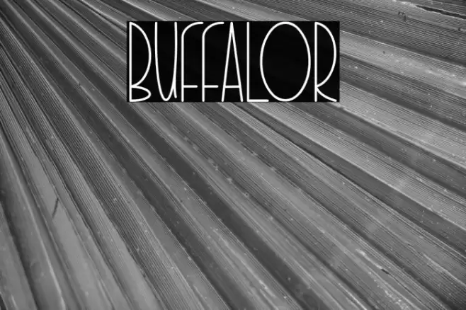 BUFFALOR Font examples