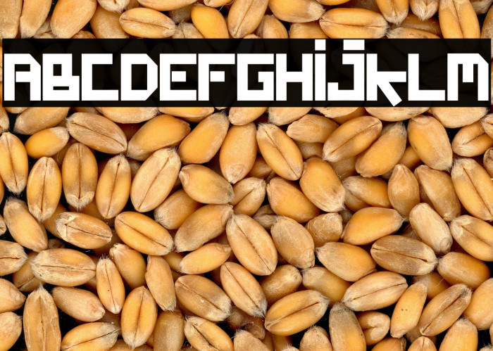 BUFFKY 359 Example 2