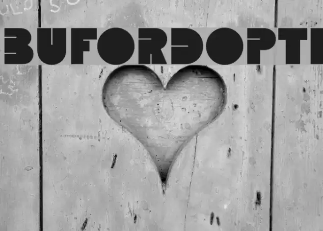 BUFORDOpti Font examples