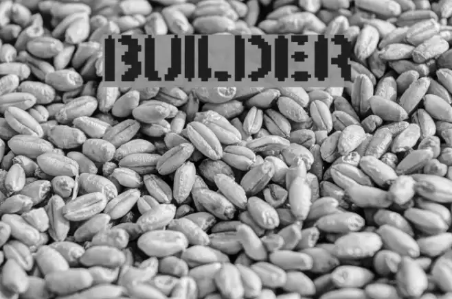 BUILDER Example 2