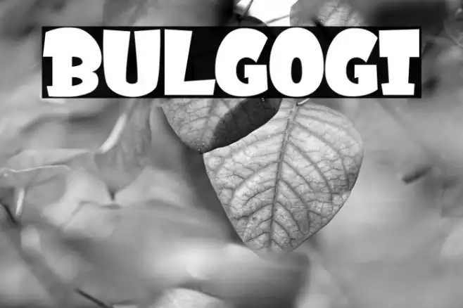 BULGOGI Example 2