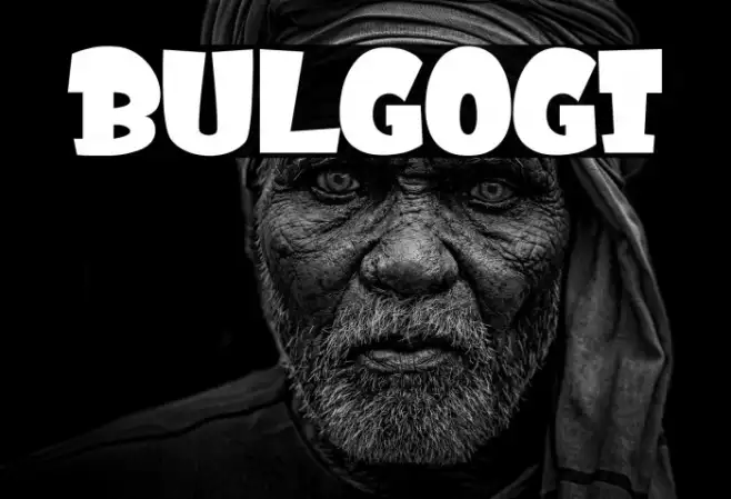BULGOGI Example 3