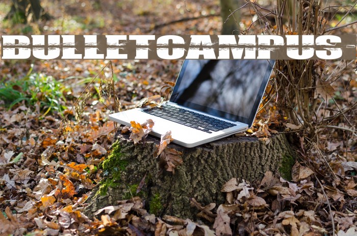 BULLETCAMPUS> Example 3