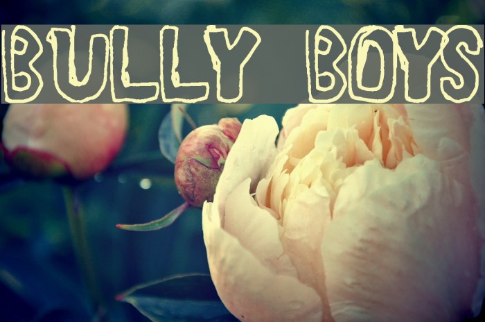 BULLY BOYS Font examples