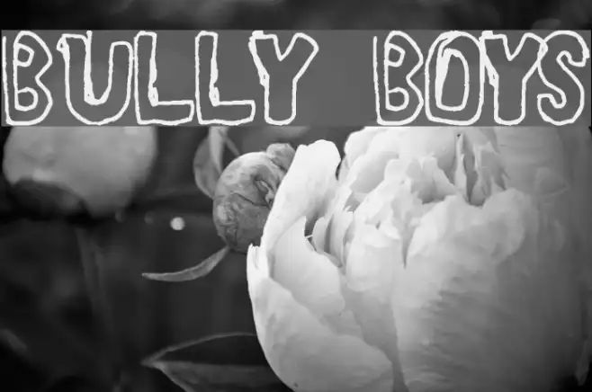 BULLY BOYS Example 1