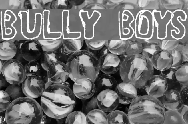 BULLY BOYS Example 2