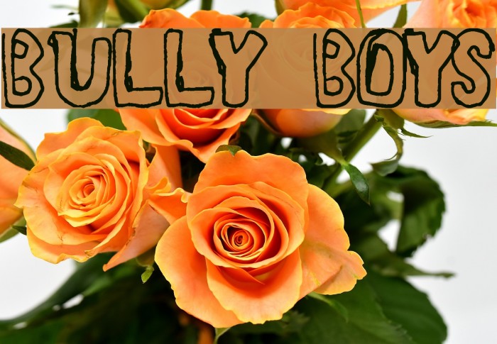 BULLY BOYS Font examples