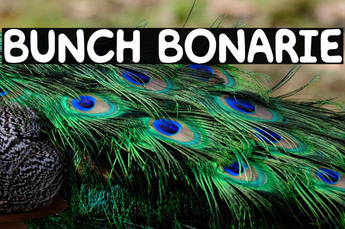 BUNCH BONARIE Example 1