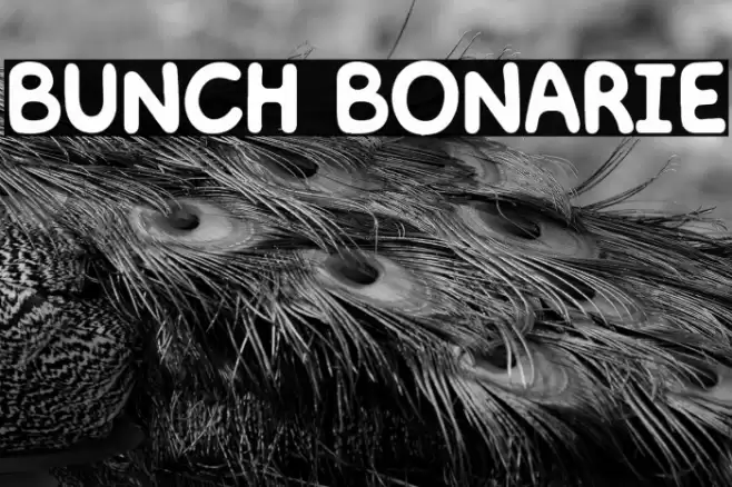 BUNCH BONARIE Font examples