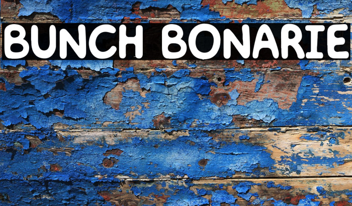 BUNCH BONARIE Example 3