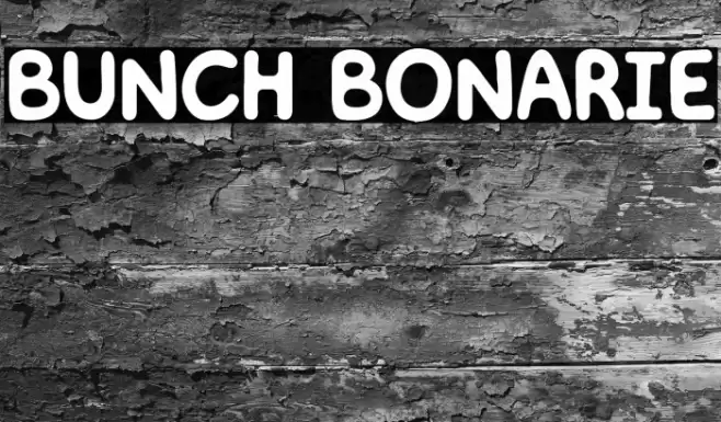 BUNCH BONARIE Font examples