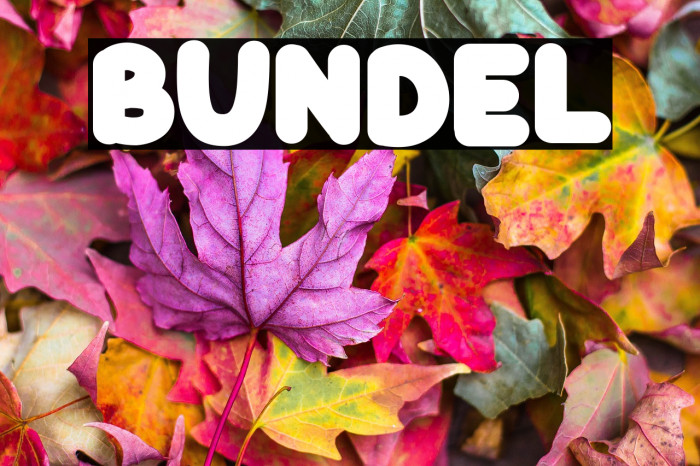 BUNDEL Polices examples