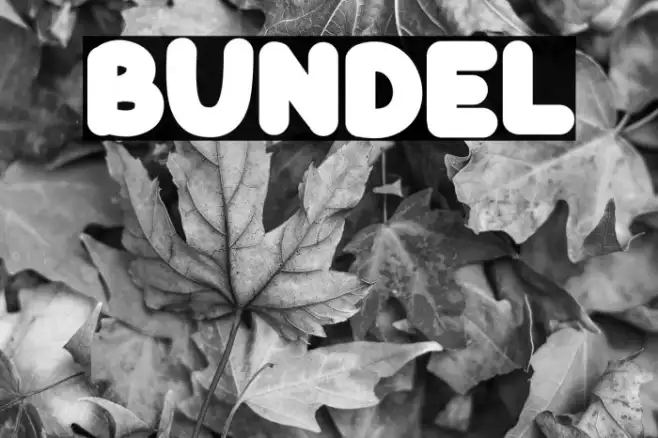 BUNDEL Example 1