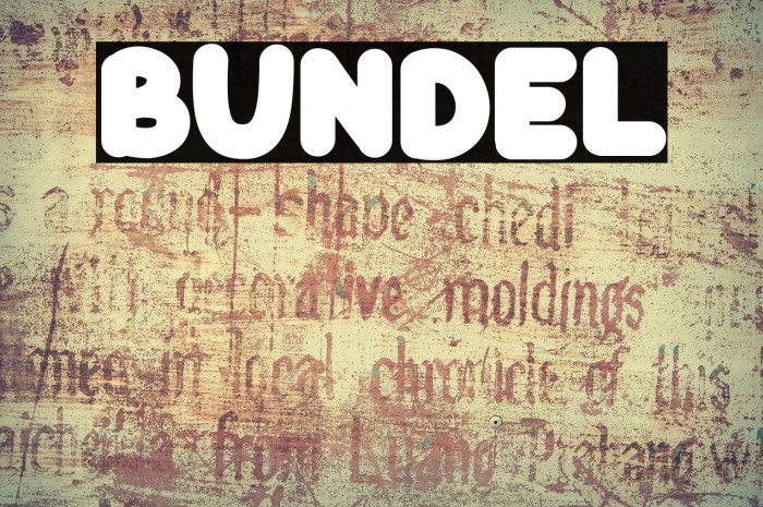 BUNDEL Polices examples