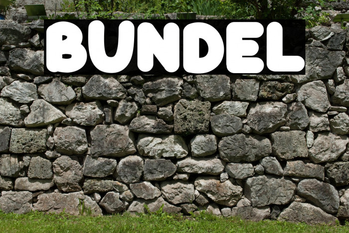 BUNDEL Polices examples