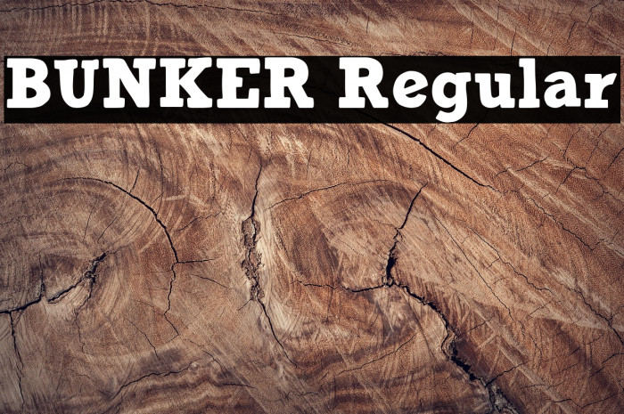 BUNKER Regular Example 1