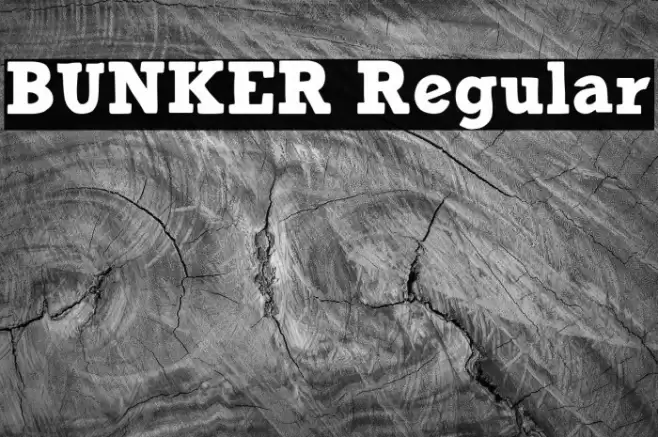 BUNKER Regular Font examples