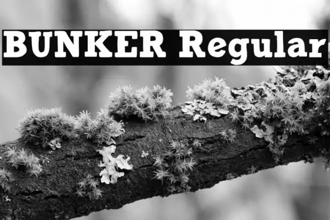 BUNKER Regular Font examples