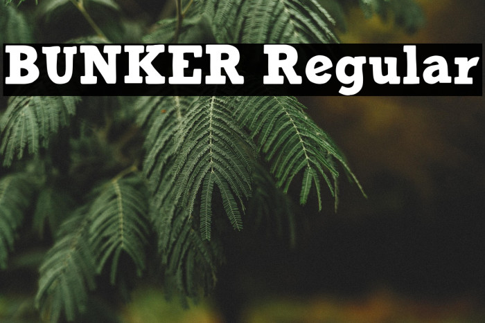 BUNKER Regular Example 3