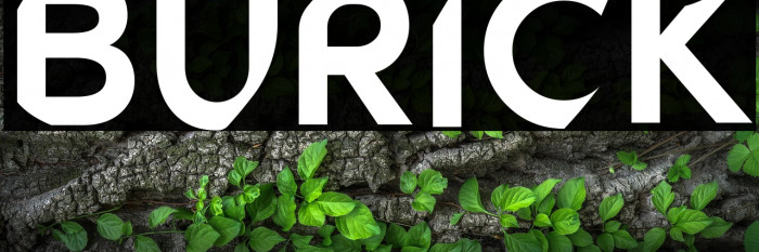 BURICK Example 1